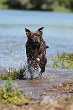 STAFFIE 146